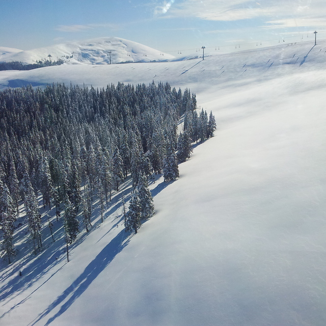 Vidra Transalpina