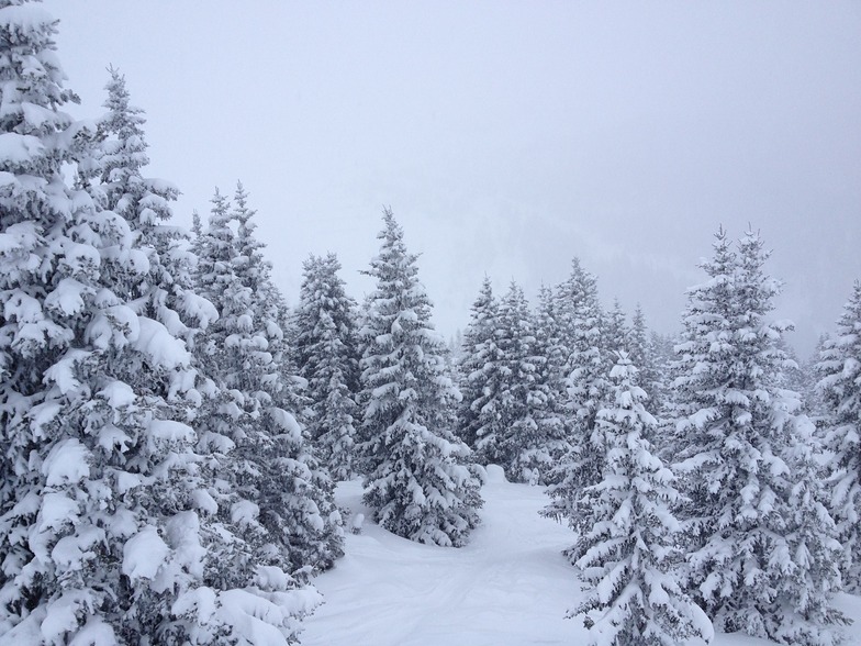 fluffy Dolomiti, Canazei