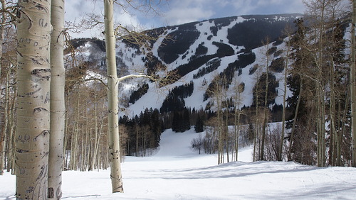 Beaver Creek Ski Resort by: Tom