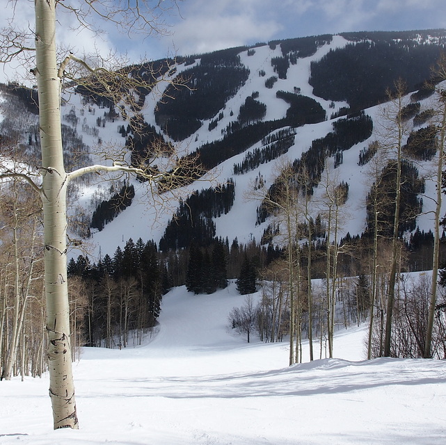 Beaver Creek Snow Report