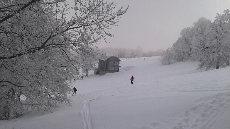 ice day, Semenic