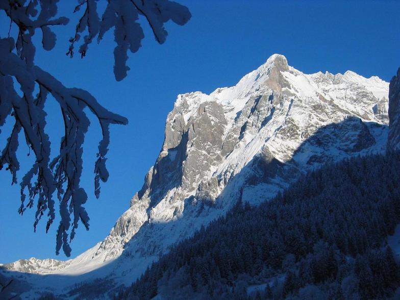 wetterhorn, Grindelwald