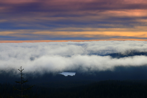 Mt Hood Meadows Ski Resort by: Jerry Griffith