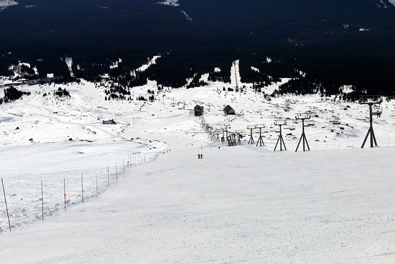Palmer Glacier is great!, Timberline
