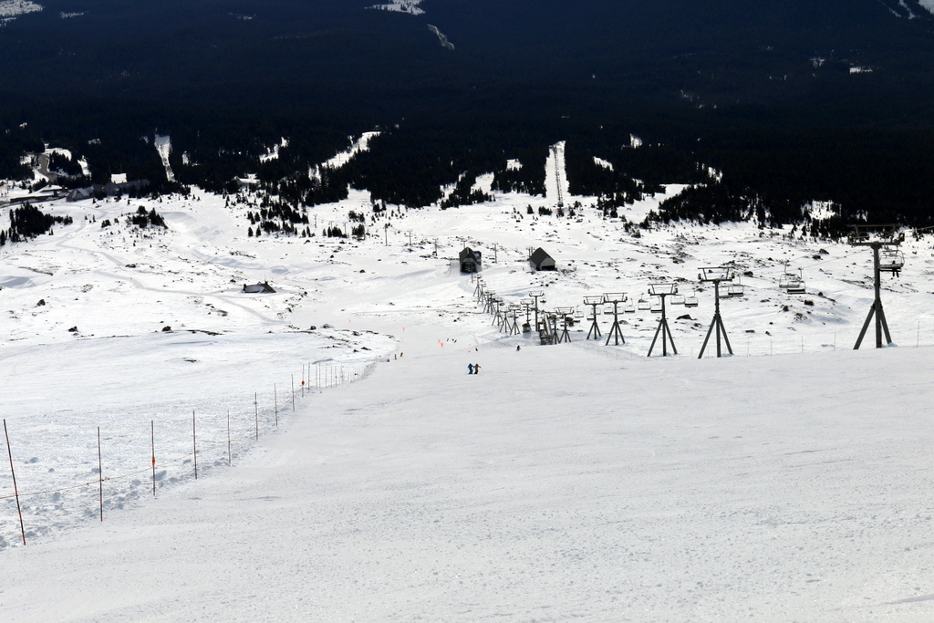 Palmer Glacier is great!, Timberline
