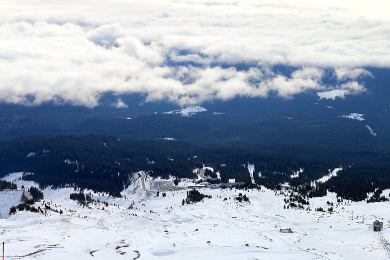 looking down Palmer Glacier, Mt Hood, Timberline