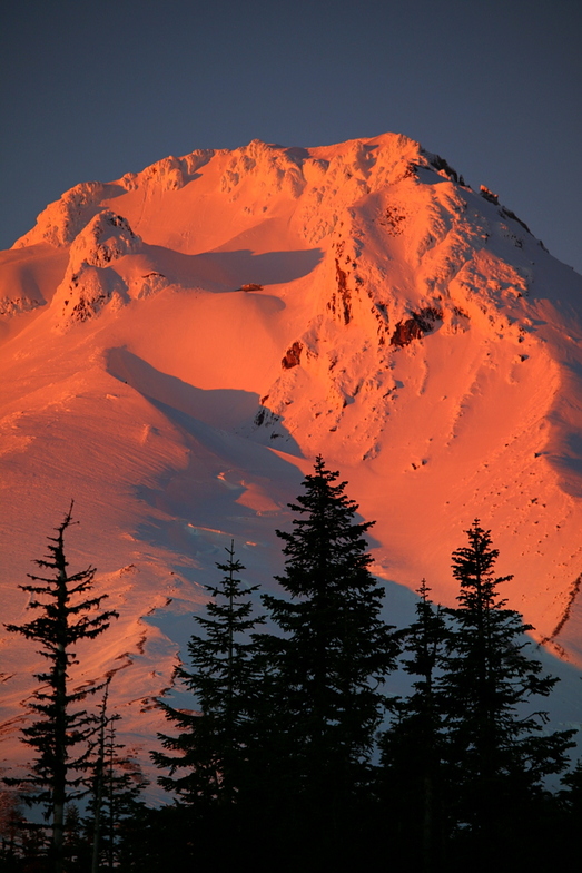 Mt Hood "Alpen glow", Timberline