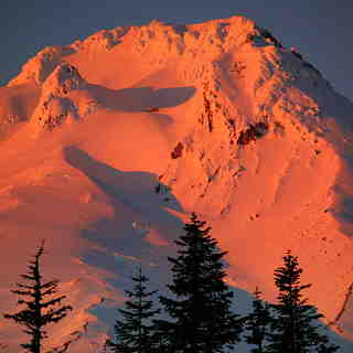 Mt Hood "Alpen glow", Timberline