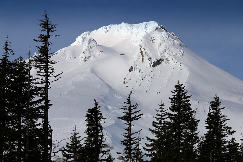 Mt Hood with a large "O", Timberline