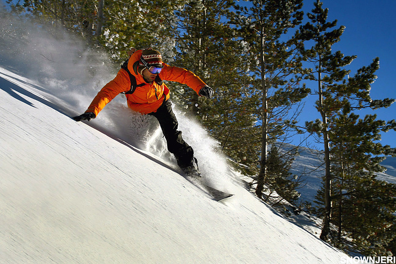 Alex style, Brezovica