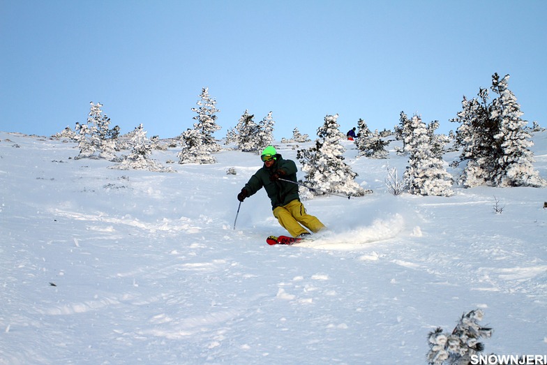 Bakalli ski, Brezovica