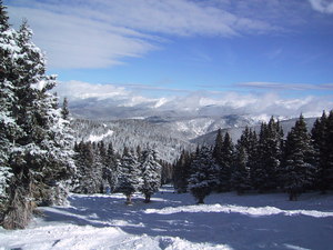 Winter Park photo