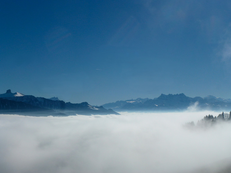 Stratus, Les Pléiades