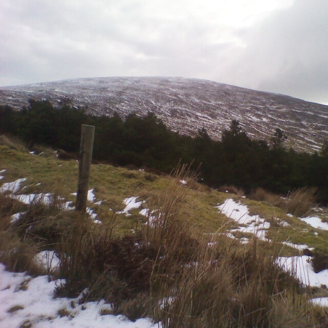 Seefin slope summit to mid., Seefin (Monavullagh)