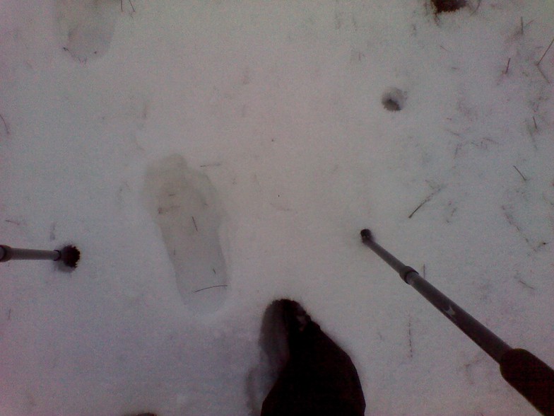 Seefin summit snow report., Seefin (Monavullagh)
