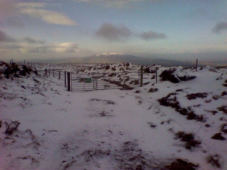 View of Knockmealdown and Knocknafallia from Seefin., Knockmealdown (Knockmealdown Mts)