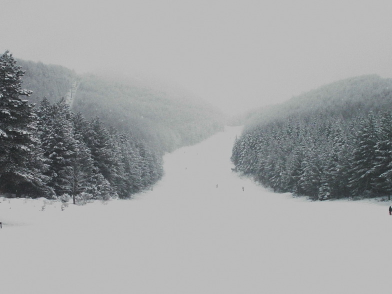 blidinje