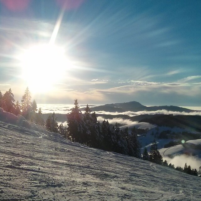 Sonnenschein Schnee und Hochnebel, Todtnauberg