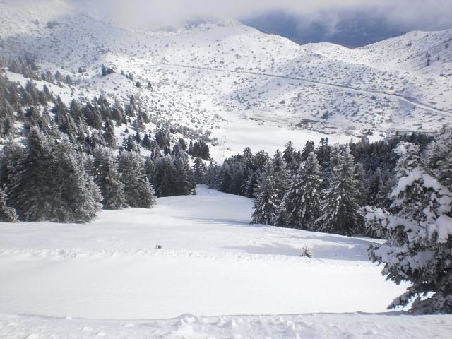 pista alexia, Mainalo