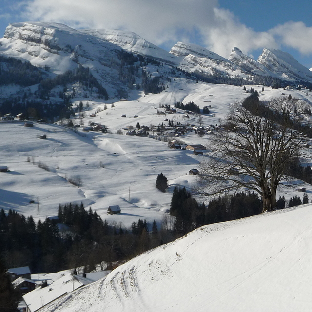 Wildhaus - Toggenburg