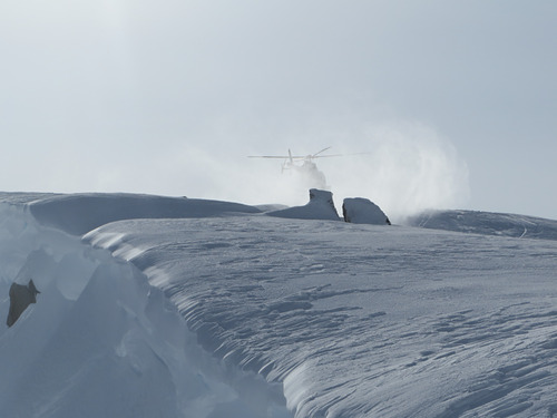 Coast Range Heliskiing Ski Resort by: Oriel Coast