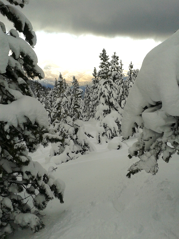Coma Oriola, Masella