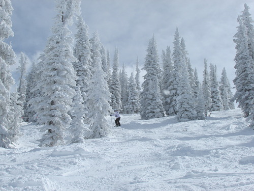Steamboat Ski Resort by: Doug Parker