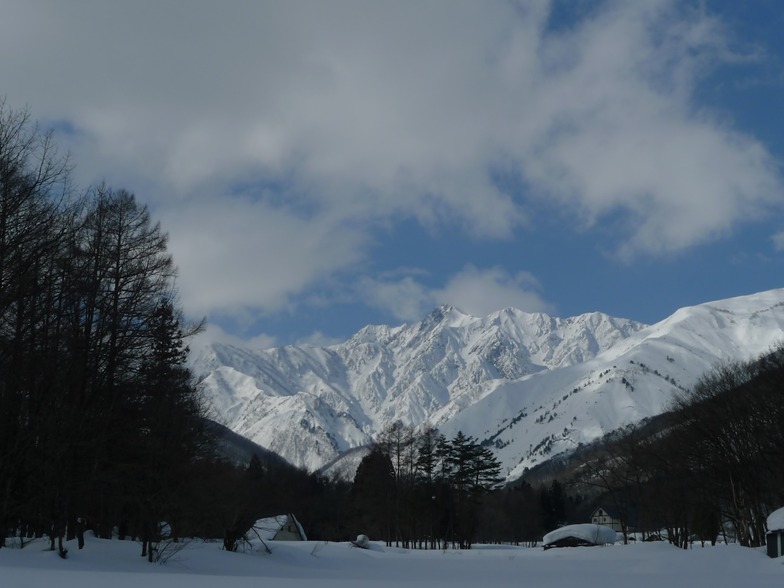 True alpine, Happo One