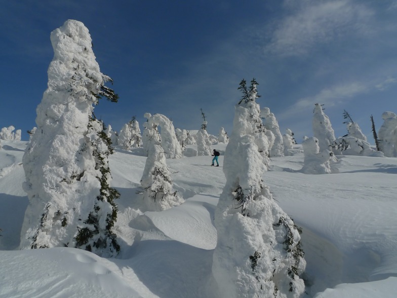 On route to the top, Hakkoda