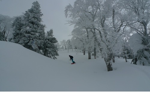 Hakkoda Ski Resort by: Snow Forecast Admin