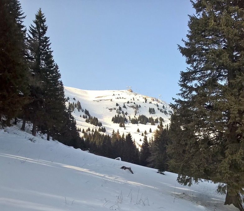 Sinaia