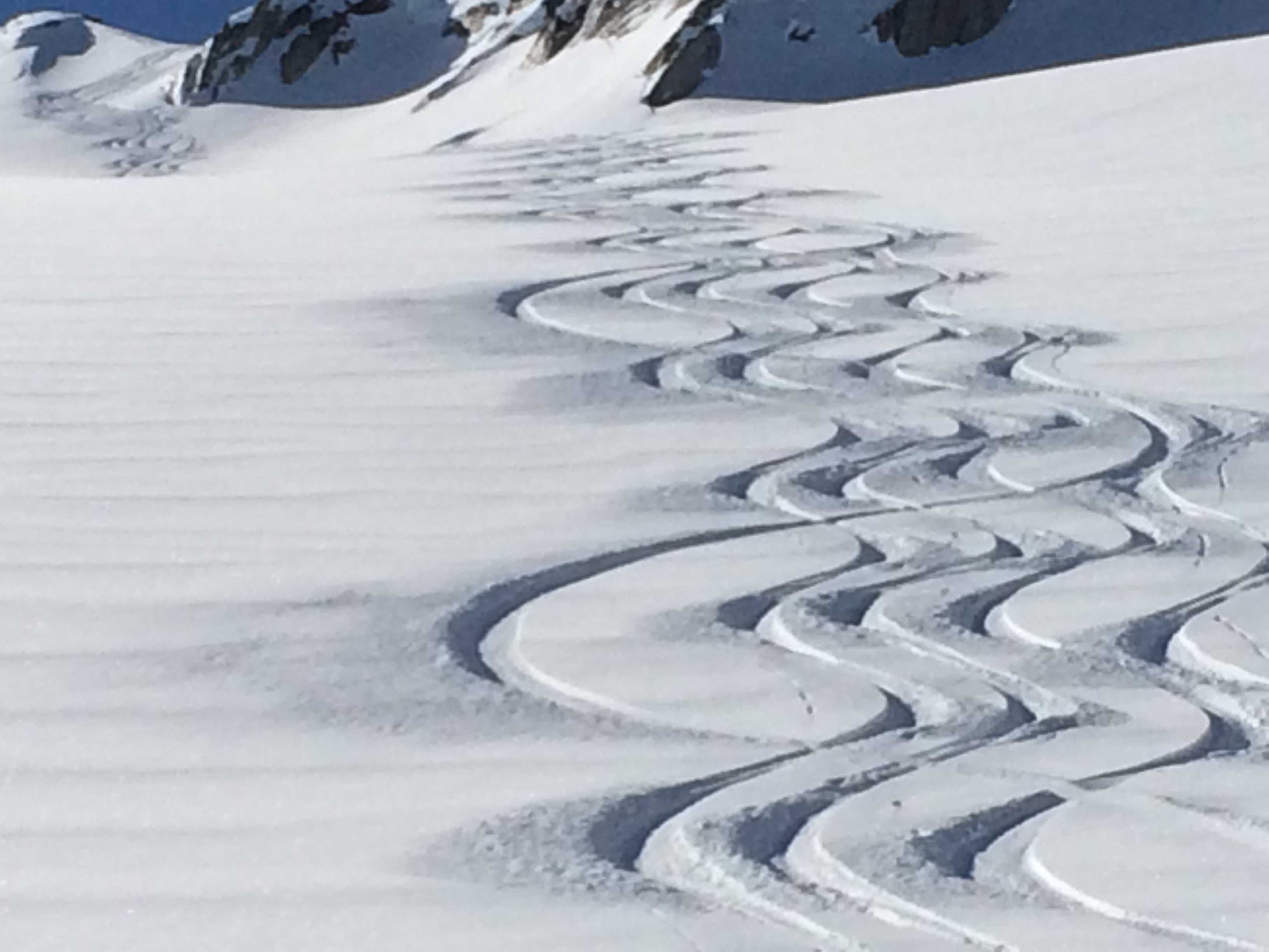 Spot my track..., Great Canadian Heli-Skiing