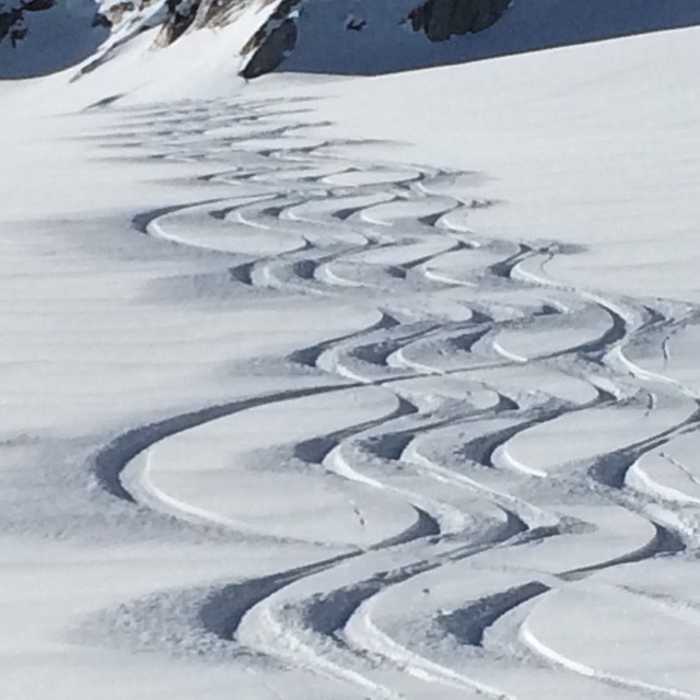 Great Canadian Heli-Skiing Snow: Spot my track...