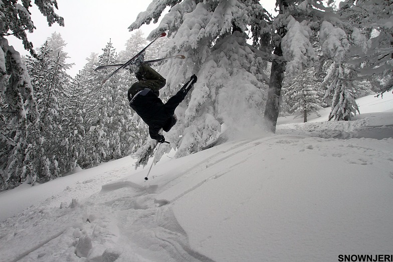 Front flip Edoni, Brezovica