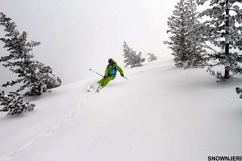 Following Rabbit Trails, Brezovica