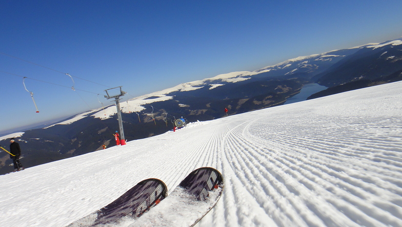 Vidra Transalpina