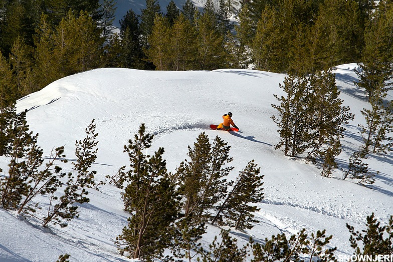 Forest style, Brezovica