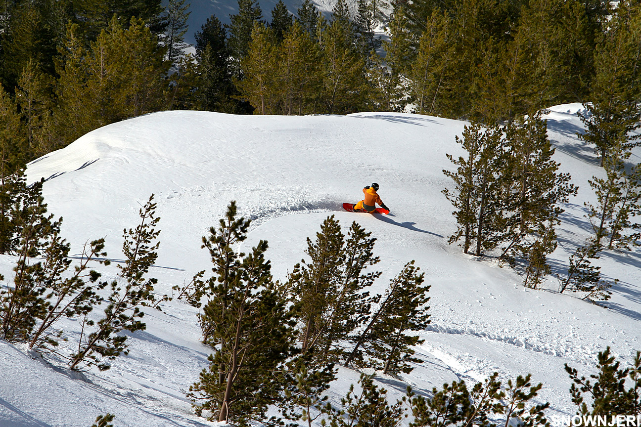 Forest style, Brezovica