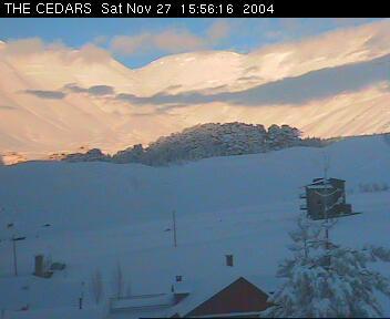 Early season in Lebanon!!!, Cedars