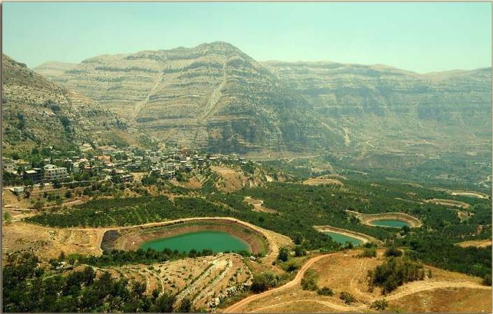 The cedars, Lebanon