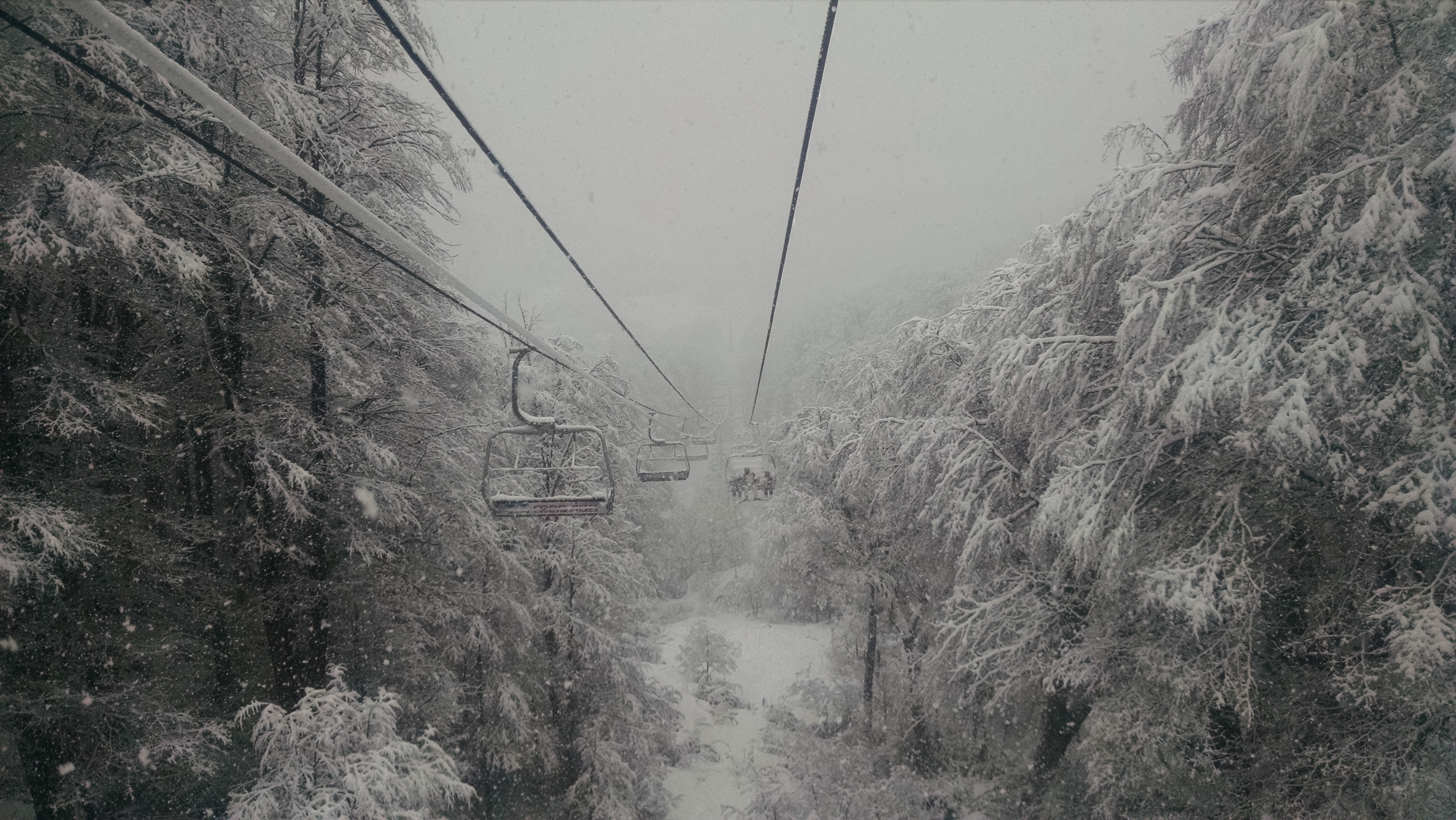 Bosque nevado, Nevados de Chillan