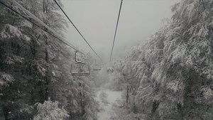 Bosque nevado, Nevados de Chillan photo