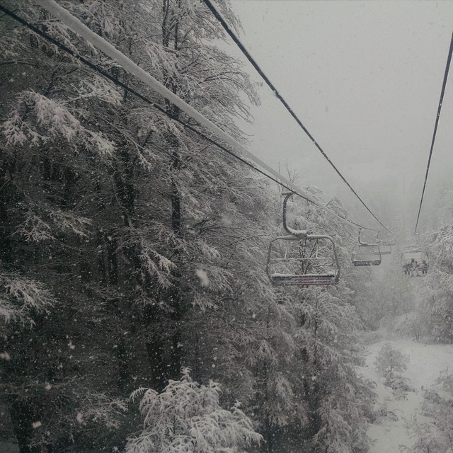 Bosque nevado, Nevados de Chillan