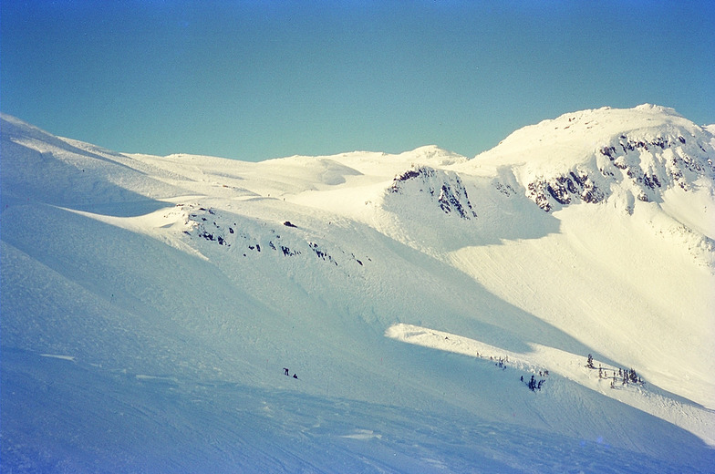 Whistler, Whistler Blackcomb