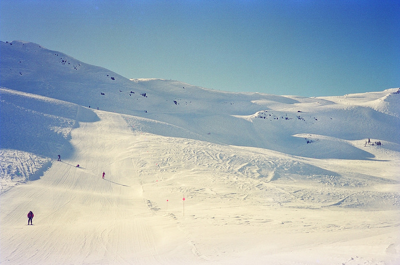 Whistler, Whistler Blackcomb
