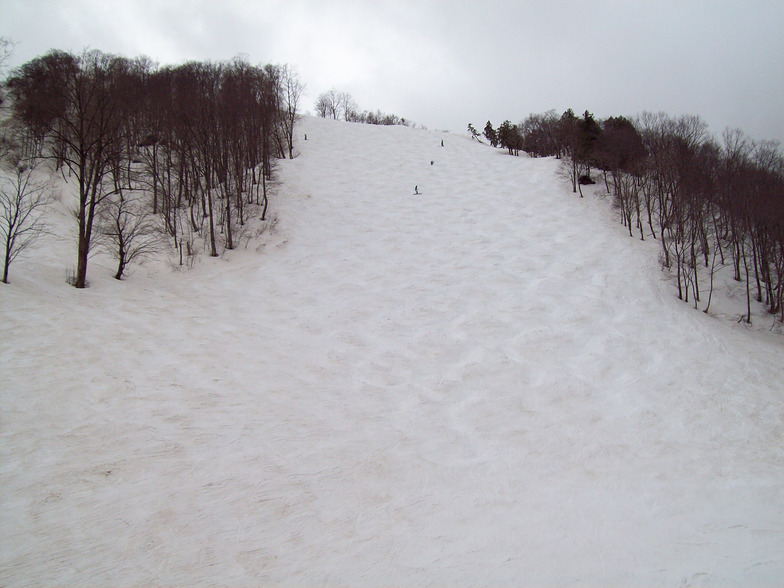 Hakuba 47