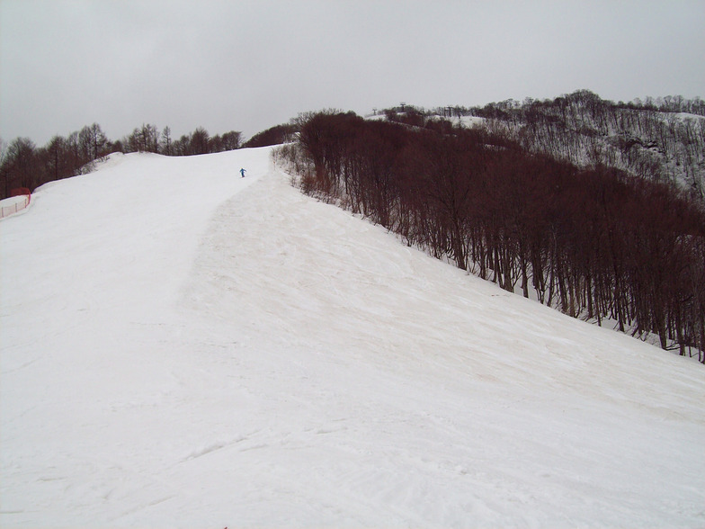 Hakuba 47
