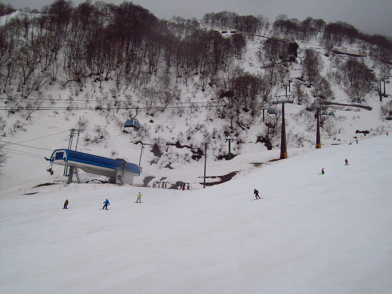 Hakuba Goryu