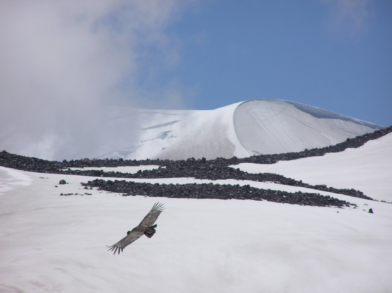 Volcan Chillan flight of the condor, La Parva