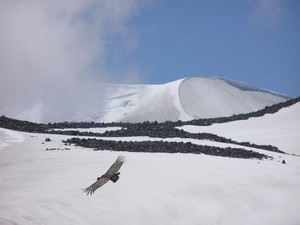 Volcan Chillan flight of the condor, La Parva photo